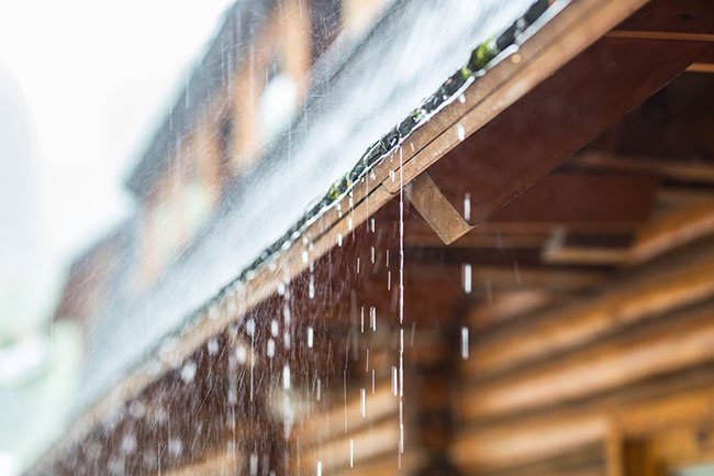 Rainwater dripping from roof
