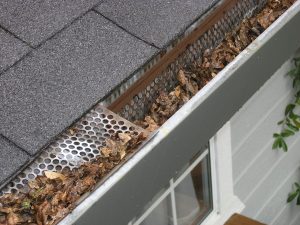 a gutter system full of leaves and in need of cleaning services