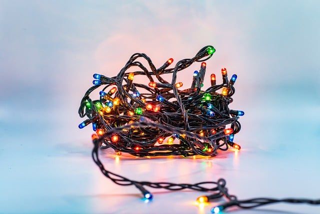 holiday string lights against a white background