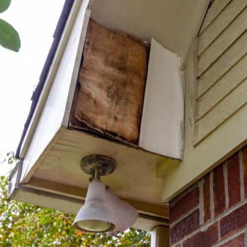possibly some damaged or rotted fascia and soffits