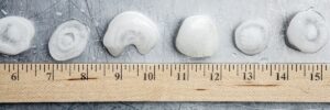 Hailstones of different sizes lined up against a ruler as a hail size chart by Anchor Roofing in Omaha, NE