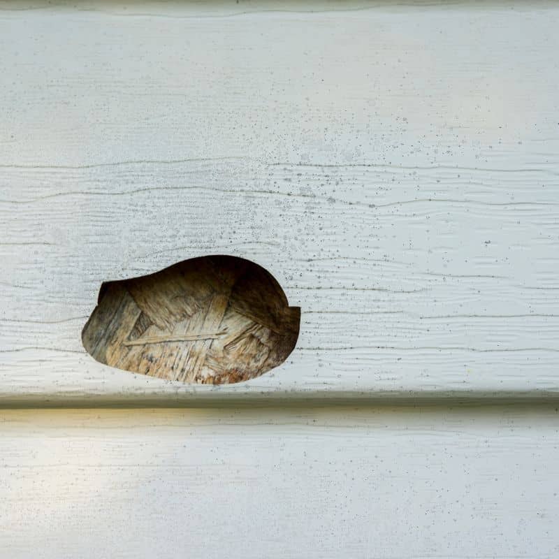 A large hole in painted siding, supporting siding insurance claims Omaha in Omaha by Anchor Roofing