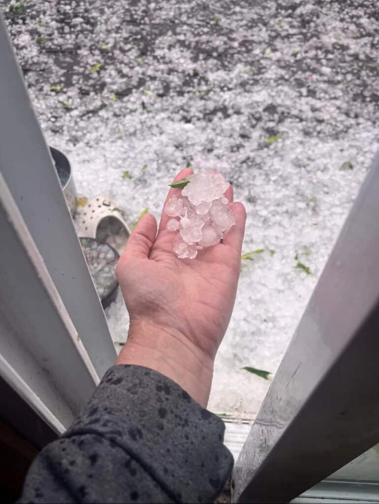 A person holding large ice hail stones after a severe storm reflecting the history of hail in Nebraska hail damage repair in Omaha by Anchor Roofing