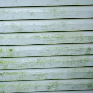 Severely damaged residential siding before repair by expert siding contractor at Anchor Roofing in Omaha